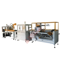 Side Pushing Type Case Packer