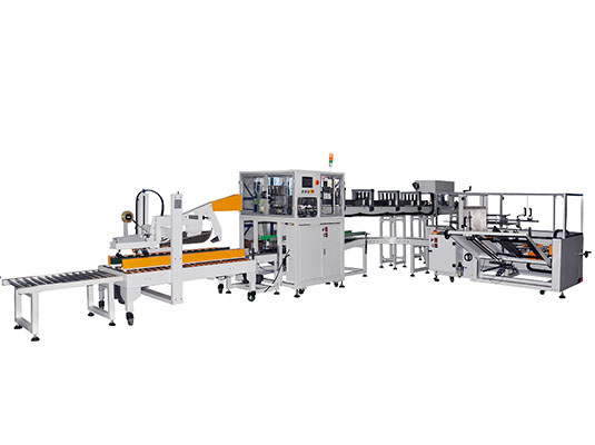 Falling type case packer